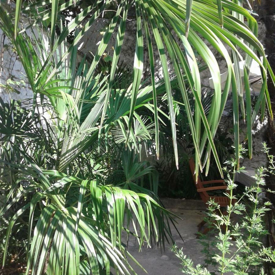 Palmera Μόσταρ Εξωτερικό φωτογραφία