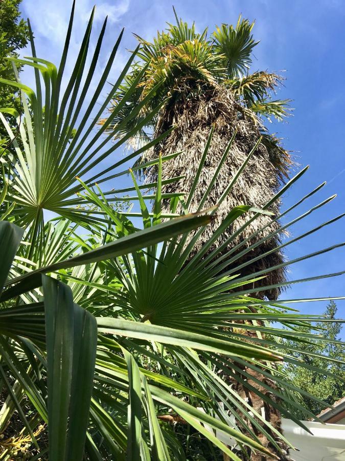 Palmera Μόσταρ Εξωτερικό φωτογραφία
