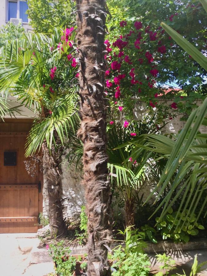 Palmera Μόσταρ Εξωτερικό φωτογραφία